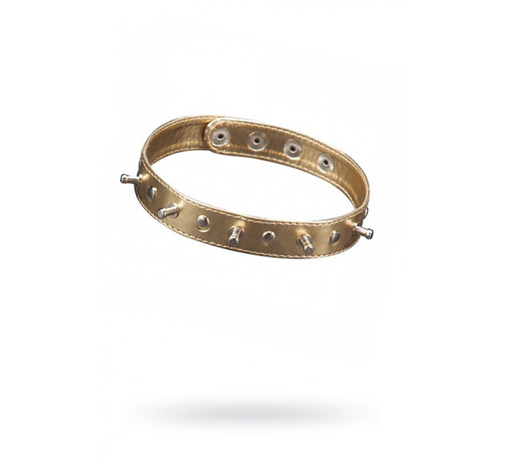 ОШЕЙНИК SITABELLA ЗОЛОТО